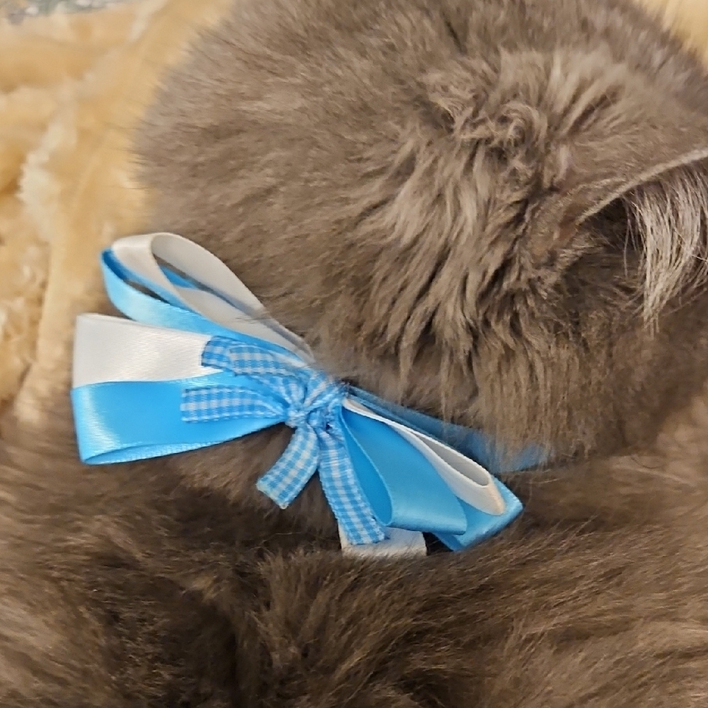 Blue and White Cat Bow Tie